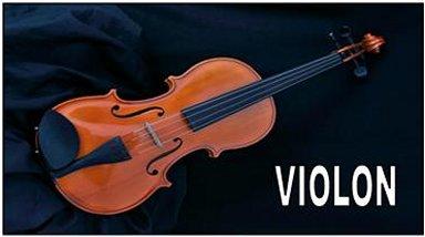 Bouton violon